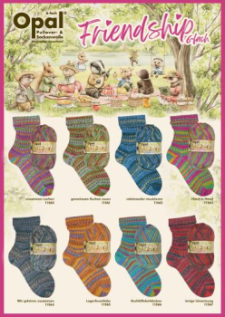 Opal Friendship -  Sockenwolle 6fach